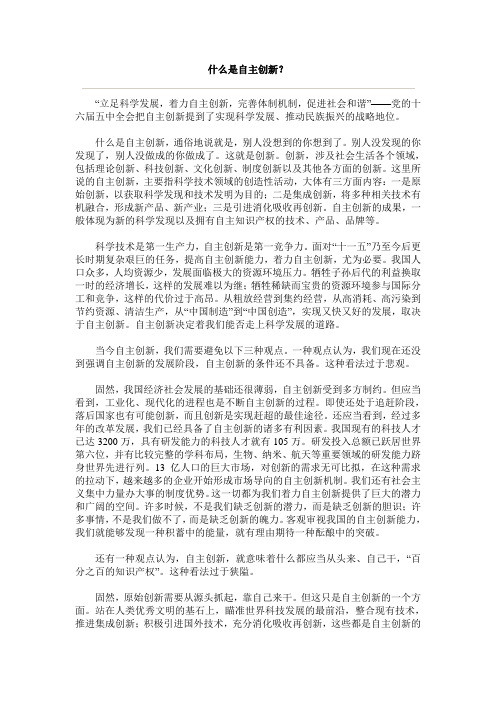 什么是自主创新
