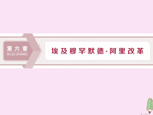 2019_2020学年高中历史第六章埃及穆罕默德·阿里改革第一节穆罕默德阿里改革前的埃及课件北师大版选修1