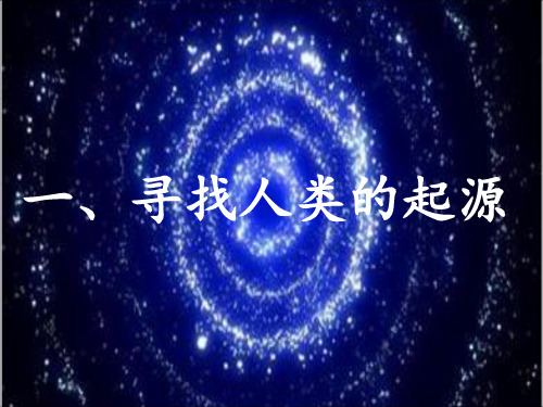 初中生物八年级下册第五单元  生命的演化第二章  人类的起源和进化第二节 人类的进化