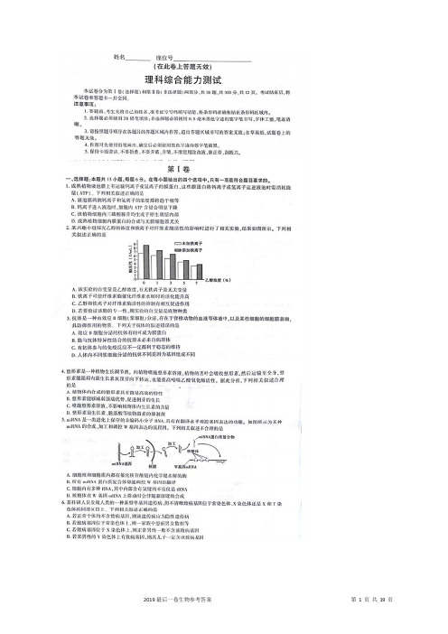 安徽省“皖江名校联盟”2019届高三5月联考试题 理科综合 扫描版含解析