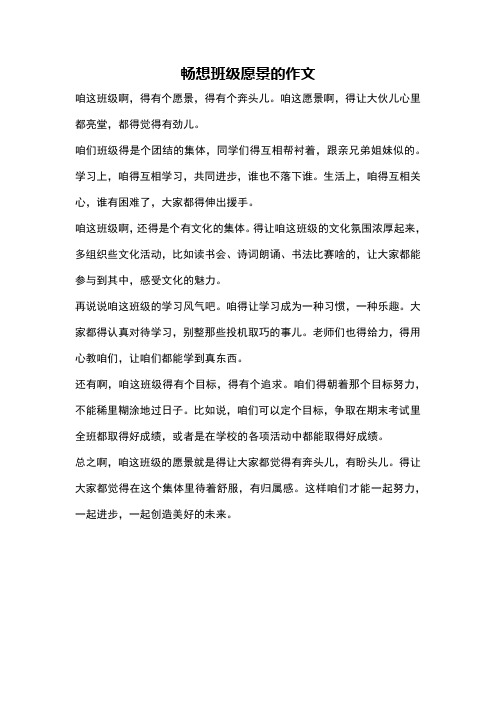 畅想班级愿景的作文
