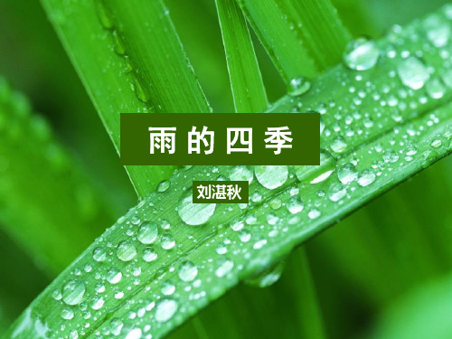 人教新版初中语文七年级上第三课《雨的四季》