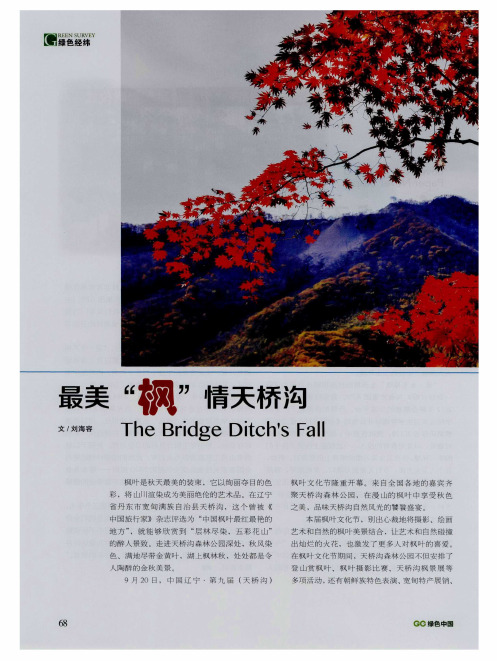 最美“枫”情天桥沟