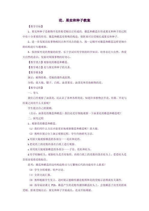 四年级科学下册2.3《花、果实和种子》教案教科版