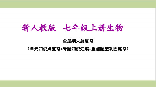 新人教版七年级上册初一生物期末总复习课件(含单元及专题复习课件)