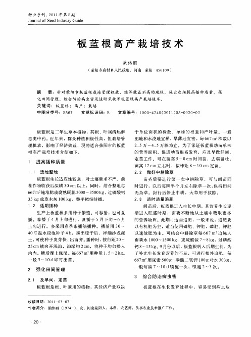 板蓝根高产栽培技术