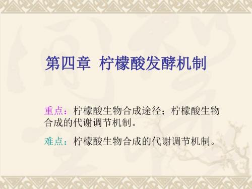柠檬酸发酵