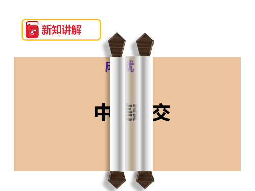 中华书局新课标初中历史八年级下册《中美建交》公开课PPT课件_6