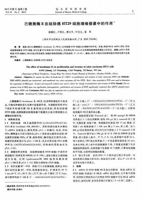 己糖激酶Ⅱ在结肠癌HT29细胞增殖侵袭中的作用