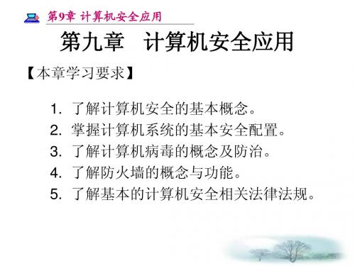 计算机应用基础第9章