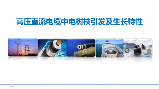 高压直流电缆中电树枝引发及生长特性