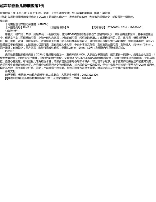 超声诊断胎儿肺囊腺瘤1例