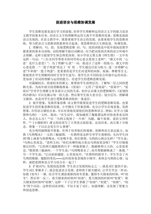 促进语言与思维协调发展