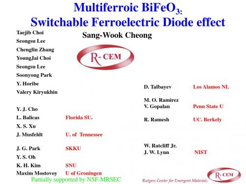 2009年先进功能材料夏季讲习班Cheong BFO
