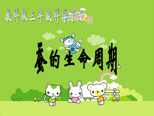 教科版三年级科学下册蚕的生命周期课件ppt