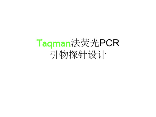 引物探针设计培训资料
