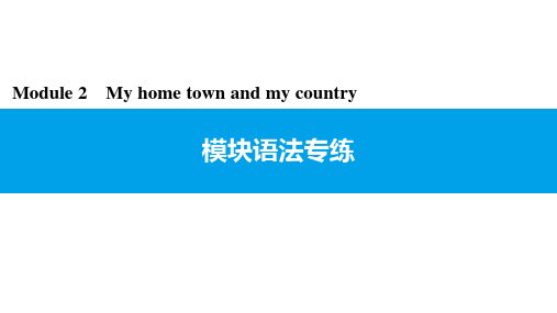 Module 2 模块语法专练 外研版英语八年级上册同步习题课件(共9张PPT)
