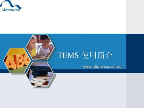TEMS使用简介
