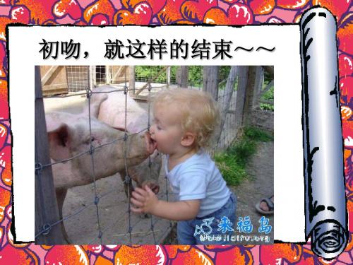 搞笑图PPT集合4