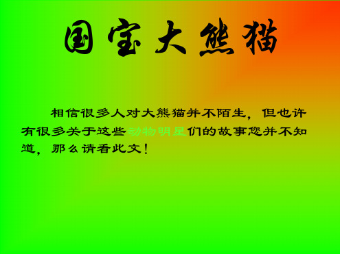模板国宝大熊猫 文档资料