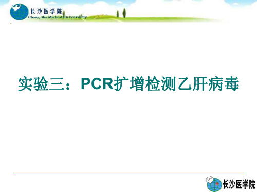 PCR扩增检测乙肝病毒