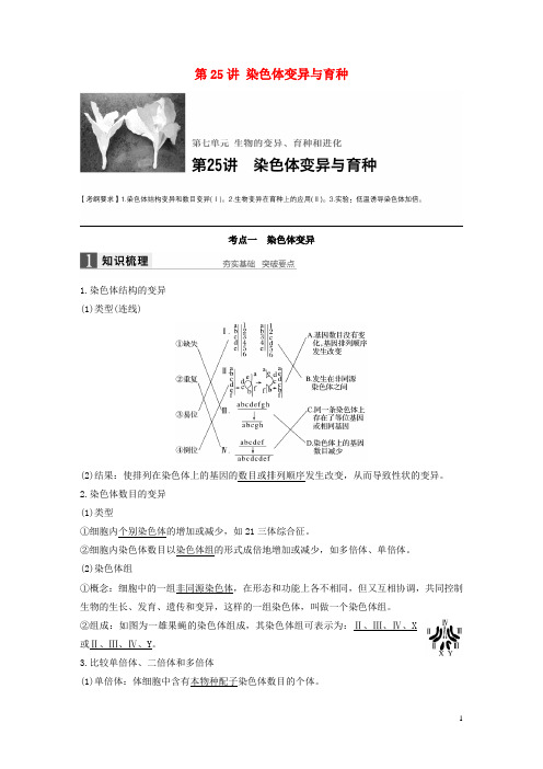 高考生物一轮复习 第七单元 生物的变异、育种和进化 