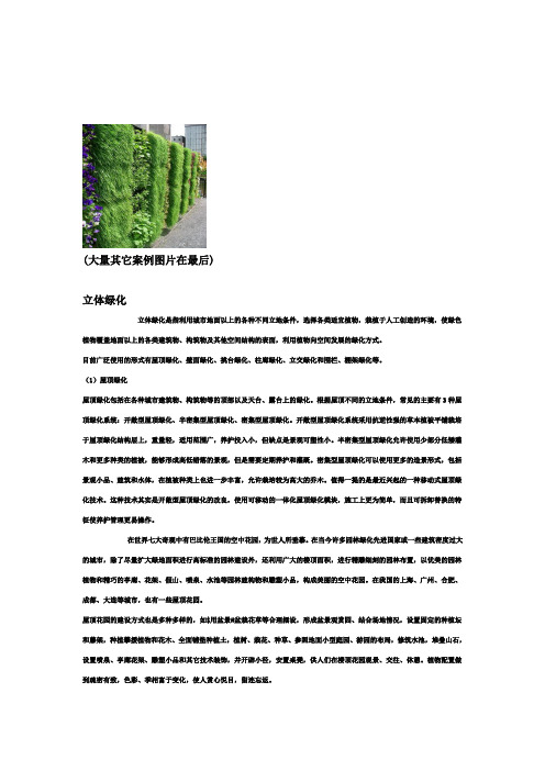立体绿化