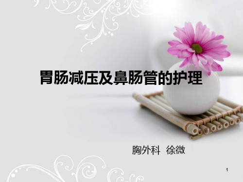 胃肠减压及鼻肠管的护理PPT课件
