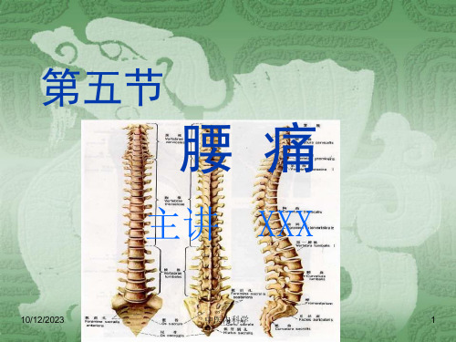 中医内科学--第五节腰痛课件