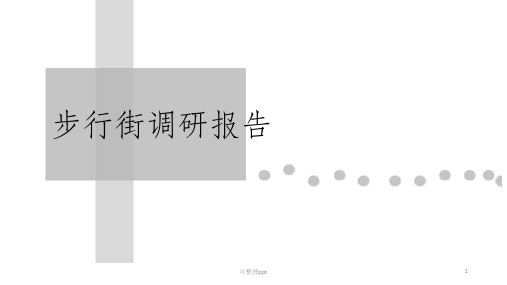 《步行街调研报告》PPT课件