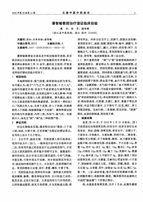 潘智敏教授治疗湿证临床经验
