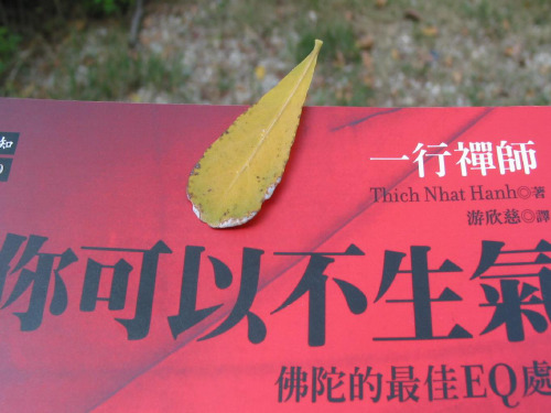 你可以不生气 (一行禅师)