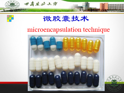 微胶囊技术