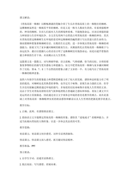 十五 青海高原一株柳