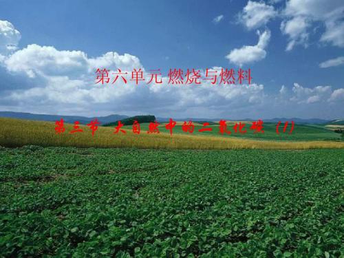 九年级化学 6.3 大自然中的二氧化碳(1)