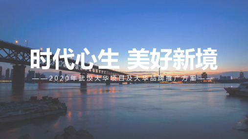 2020武汉大华品牌及大华青山新项目推广策略案
