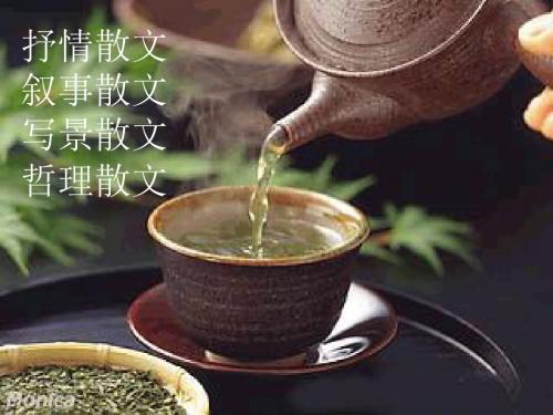 高一  粤教人教语文必修一 《荷塘月色》 课件