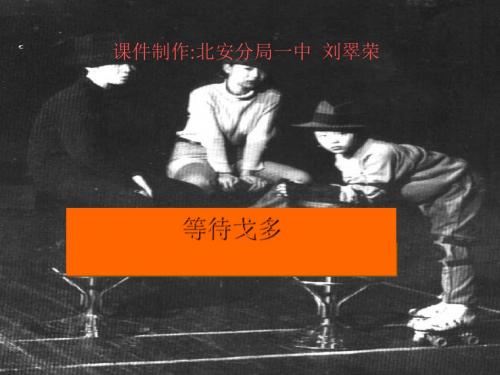 等待戈多 PPT课件 15 人教版