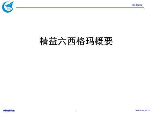 精益六西格玛概要