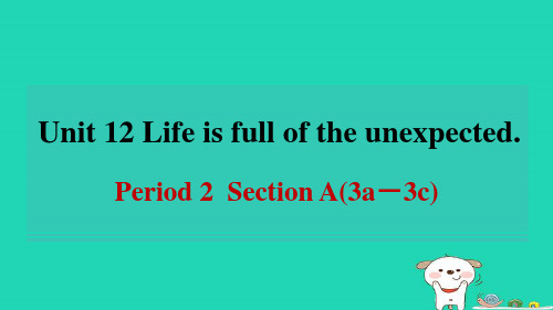 安徽省2024九年级英语全册Unit12pectedPeriod2课件新版人教新目标版