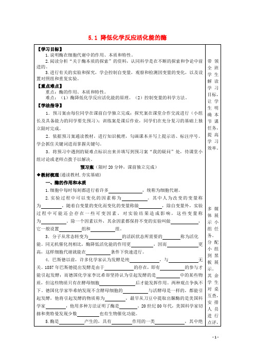 高中生物 5.1 降低化学反应活化能的酶学案 新人教版必修1 