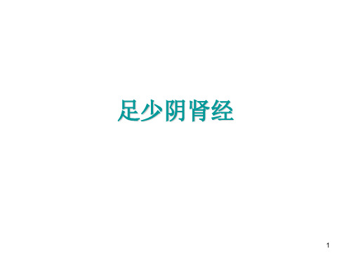 经络常用穴位(肾心)参考