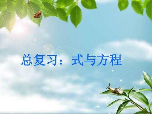 新课标人教版六年级数学下册《总复习-式与方程PPT课件》