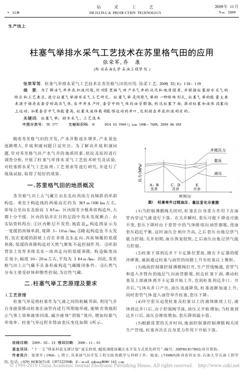 柱塞气举排水采气工艺技术在苏里格气田的应用