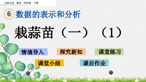 2022年北师大版小学数学《栽蒜苗》课件精品