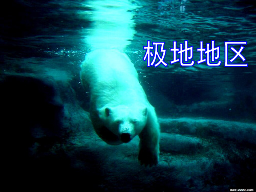 人教版地理《极地地区》教学PPT1