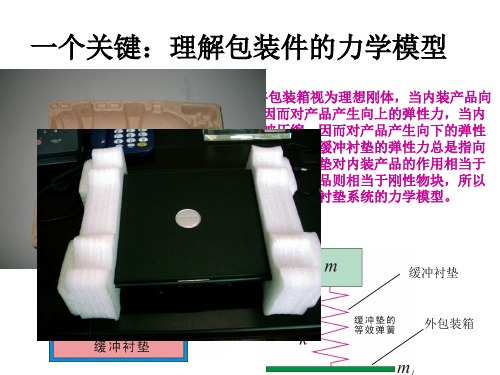 包装动力学总体复习 课件