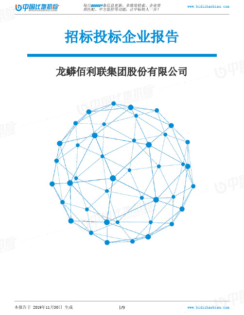 龙蟒佰利联集团股份有限公司-招投标数据分析报告