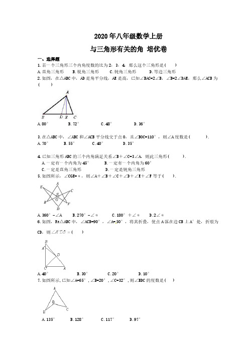 2020年八年级数学上册 与三角形有关的角 培优卷(含答案)