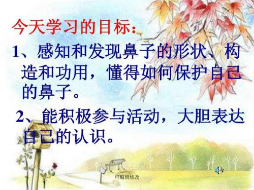 鼻子的故事PPT课件